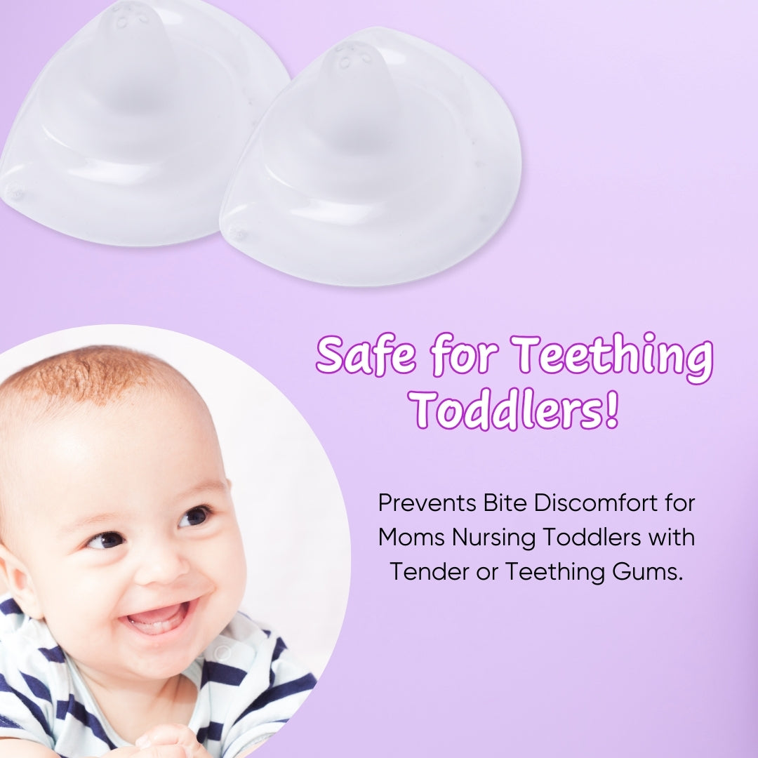 Adore Embrace Premium Super Soft Silicon Breast Shield with Storage Case-1 Pair - Purple