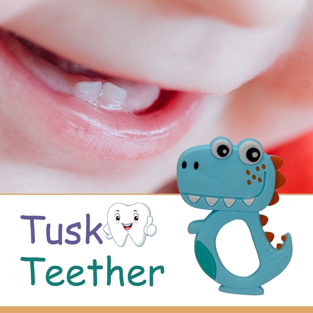 Adore Tusk! The Silicon Teethers- Dino