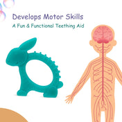 Adore Tusk! The Silicon Teethers- Rabbit