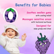 Adore Crave Water Filled Teethers- Grapes -Pack of 2