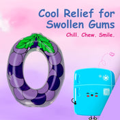 Adore Crave Water Filled Teethers- Grapes -Pack of 2