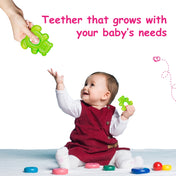 Adore Luscious Water Filled EVA Teethers- Green Teddy -2pack