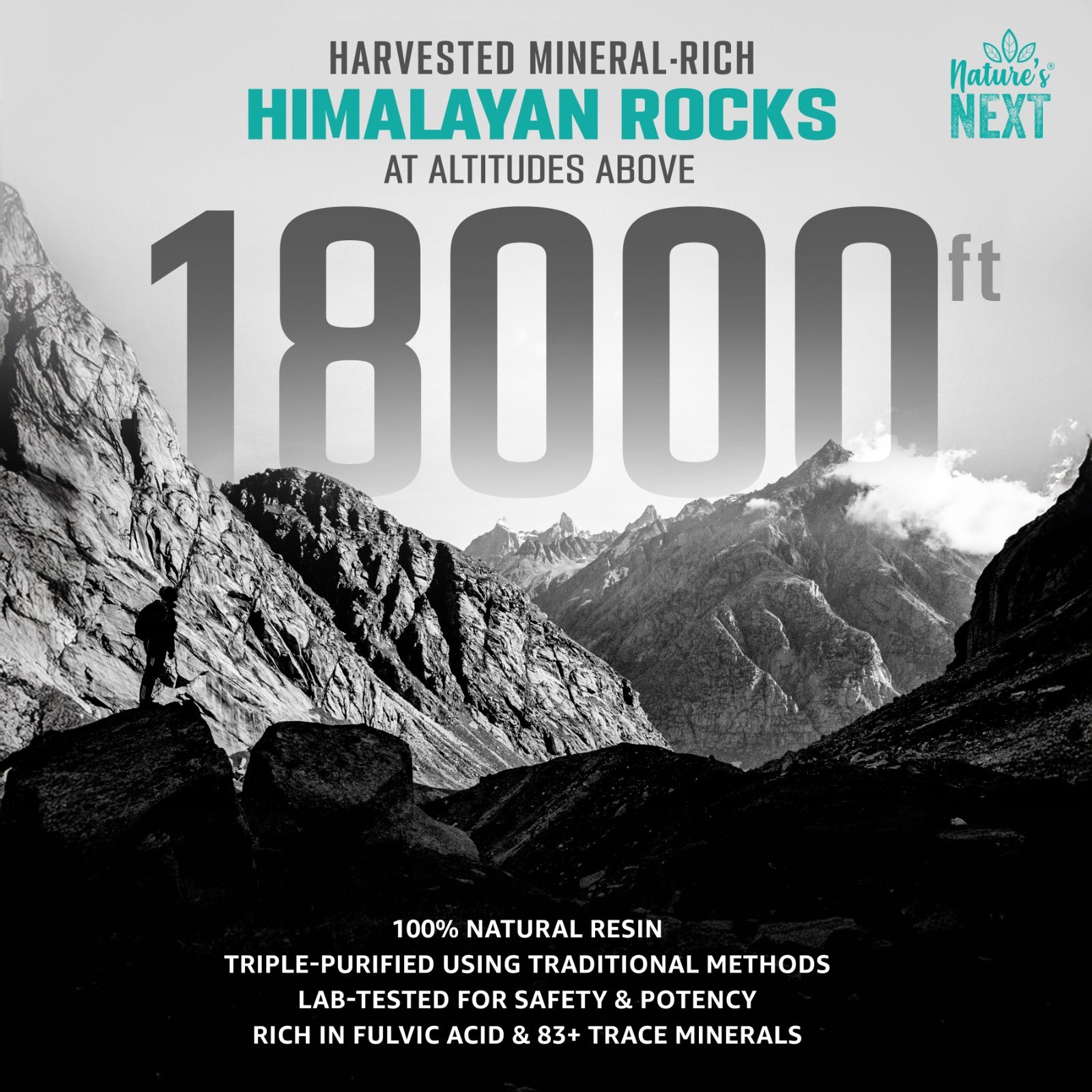 Nature's Next Pure & Premium Himalayan Shilajit Resin 20g